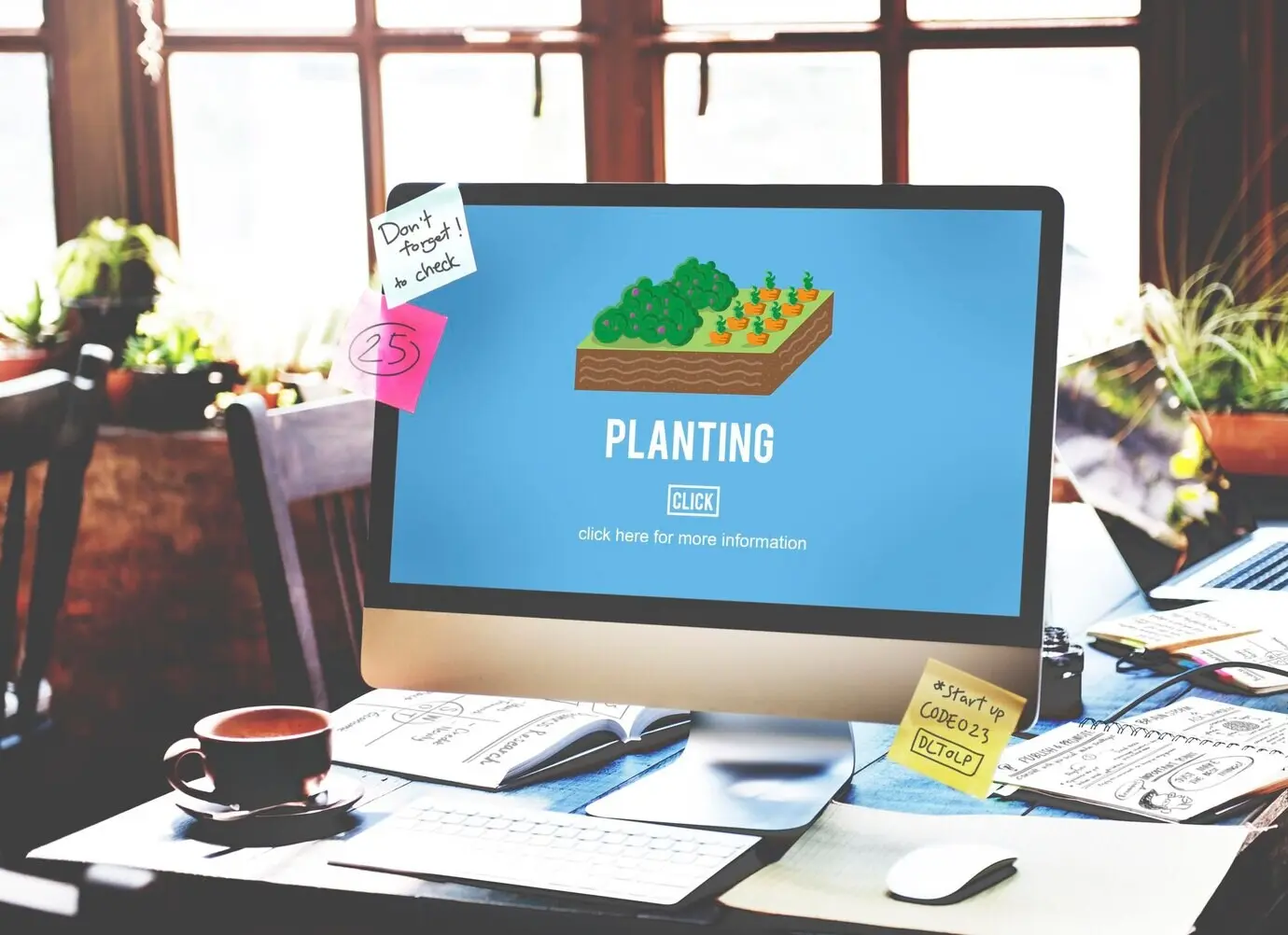 Konzept des Anbaus von Nutzpflanzen im Umfeld des ökologischen Landbaus